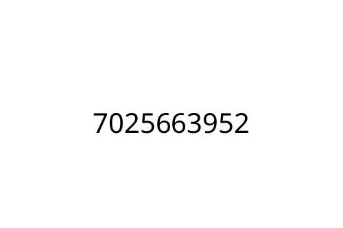 7025663952