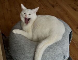 aggr8finance financial updates