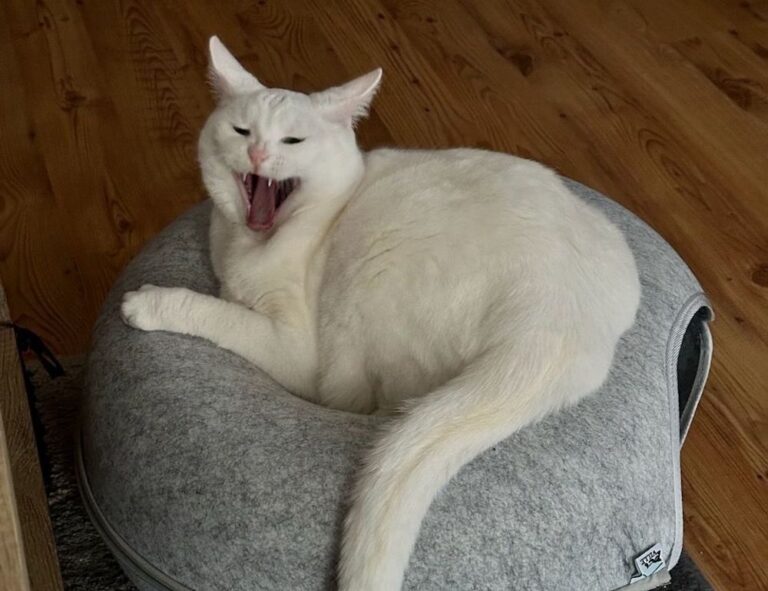 aggr8finance financial updates