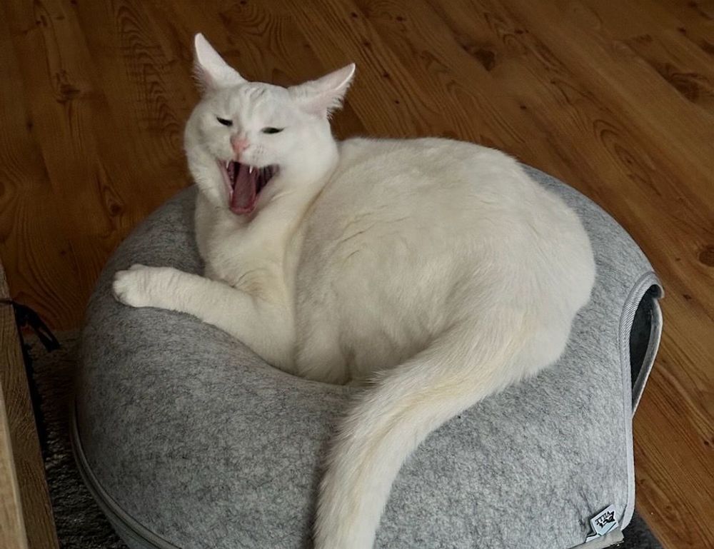 aggr8finance financial updates