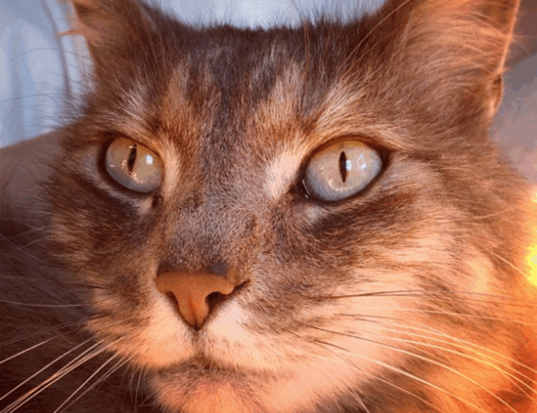 best business advice ever wbbiznesizing