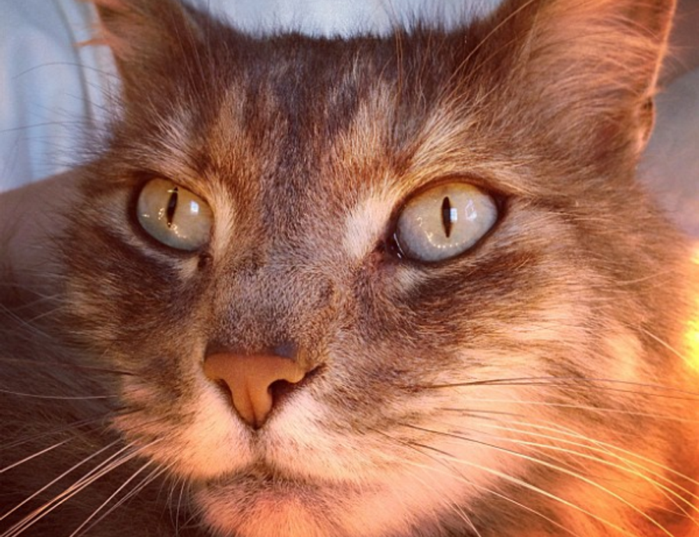 best business advice ever wbbiznesizing