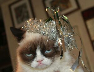 business advice wbbiznesizing