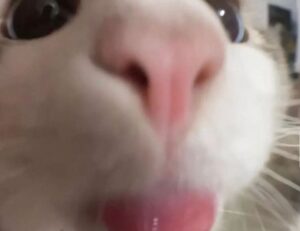 business news aggr8finance