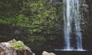 business updates aggr8finance