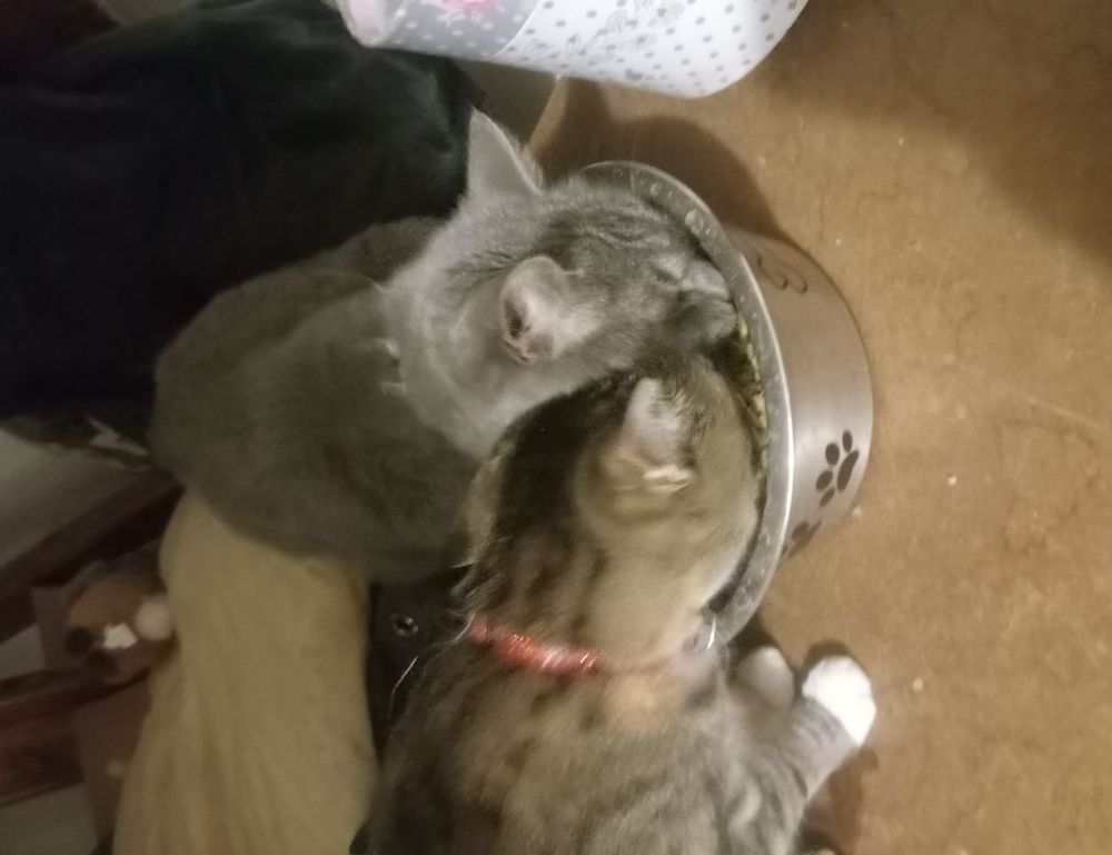 finance guide wbbiznesizing