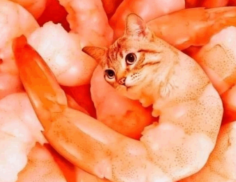 investing news aggr8finance