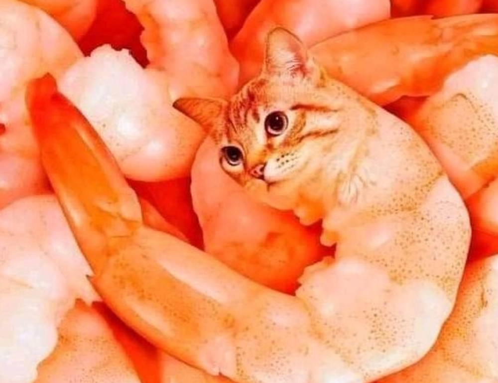 investing news aggr8finance