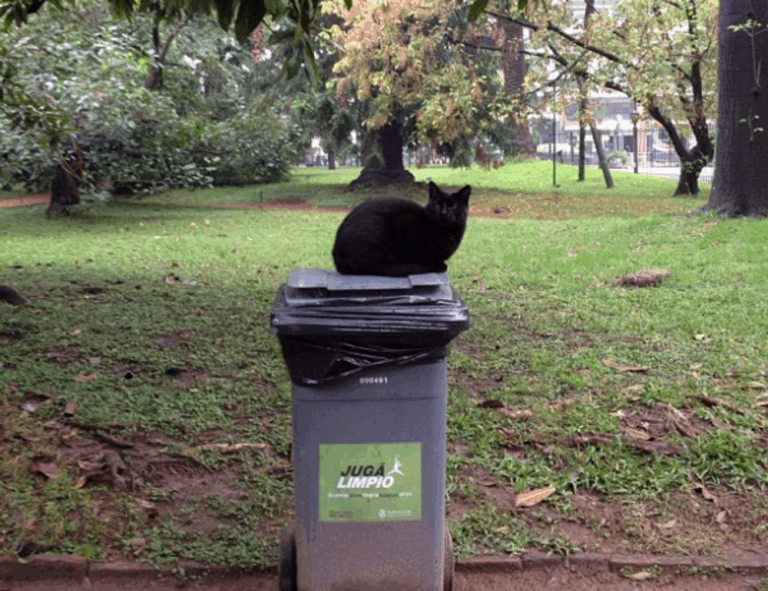 investment guide wbinvestimize