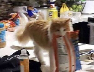 investment news aggr8finance