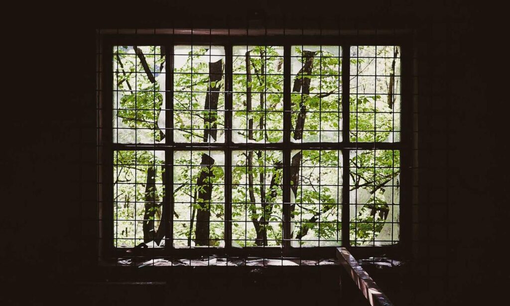 what zayepro pharmaceuticals ltd about