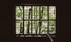 what zayepro pharmaceuticals ltd about