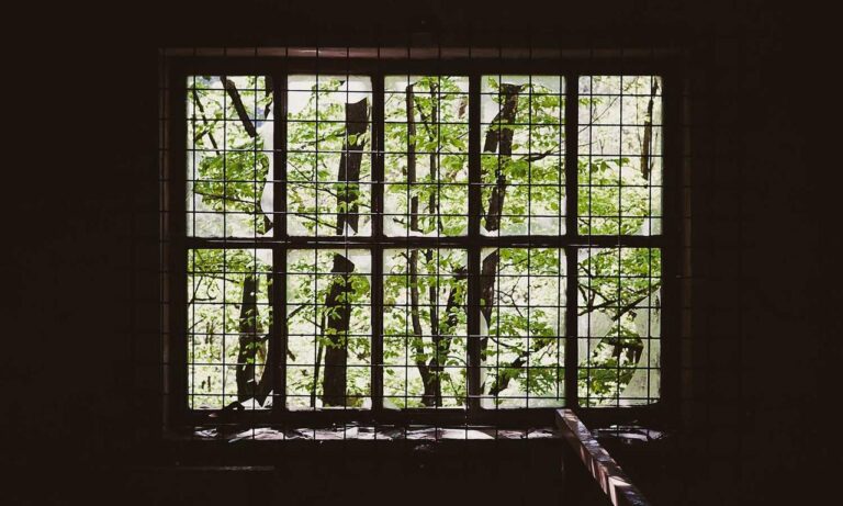 what zayepro pharmaceuticals ltd about