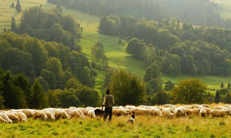 why i can't run warepad0.2 code