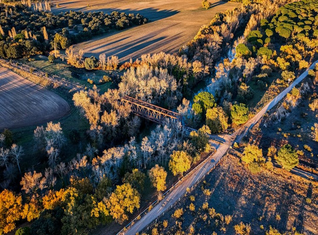 Recepción y Críticas