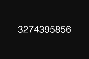 3274395856