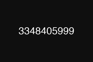 3348405999