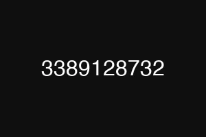3389128732