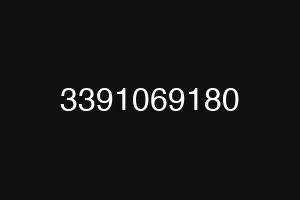3391069180