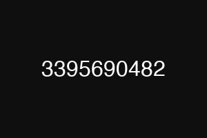 3395690482