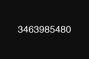 3463985480