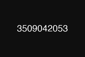 3509042053