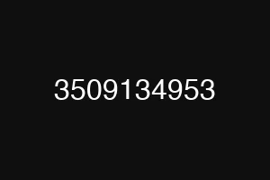 3509134953