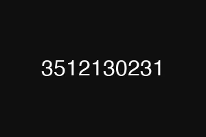 3512130231