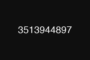 3513944897