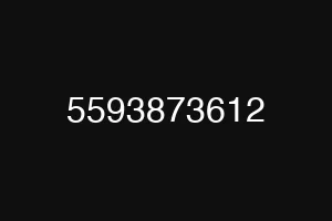 5593873612