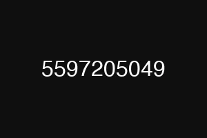 5597205049