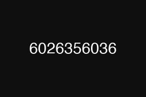 6026356036