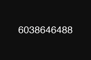 6038646488