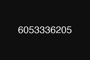 6053336205