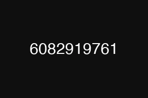 6082919761