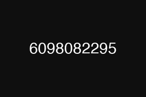 6098082295