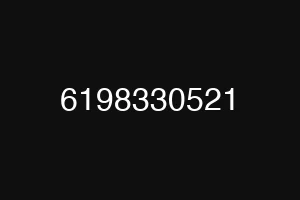 6198330521