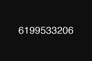 6199533206