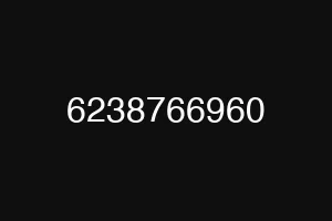 6238766960