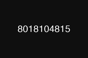 8018104815