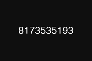 8173535193