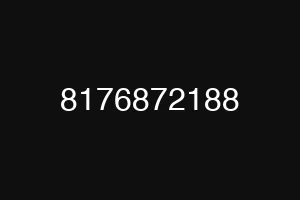 8176872188