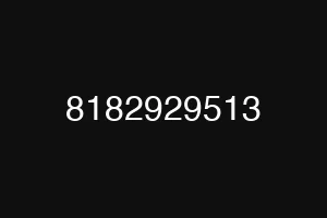 8182929513