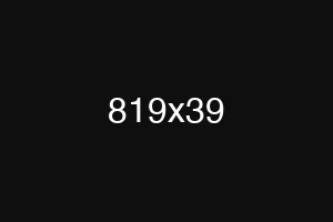 819x39