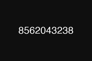 8562043238
