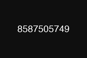 8587505749