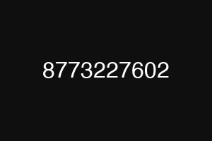 8773227602