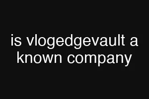 is vlogedgevault a known company